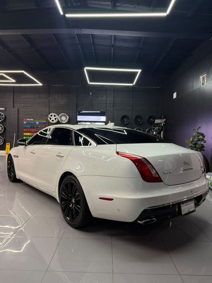 Jaguar XJ — Tinted rear glass (Window Tint)